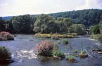 90 Weser bei Hann-Muenden